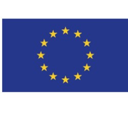 Bandiera EUROPEA blu +12 stelle 90x145cm in tessuto (senza asta)