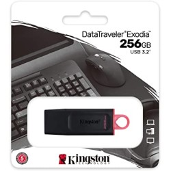 Chiavetta di memoria 3.2 USB 256Gb Kingston flash drive compresa tassa siae