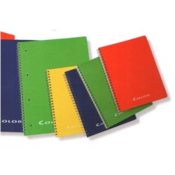 MaxiQuaderno spiralato COLOR A4 60fogli da 90gr. quadretti microperforati 4 fori