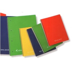 Maxiquaderno spiralato COLOR A4 50fogli da 90gr. rigato microperforato 4 fori